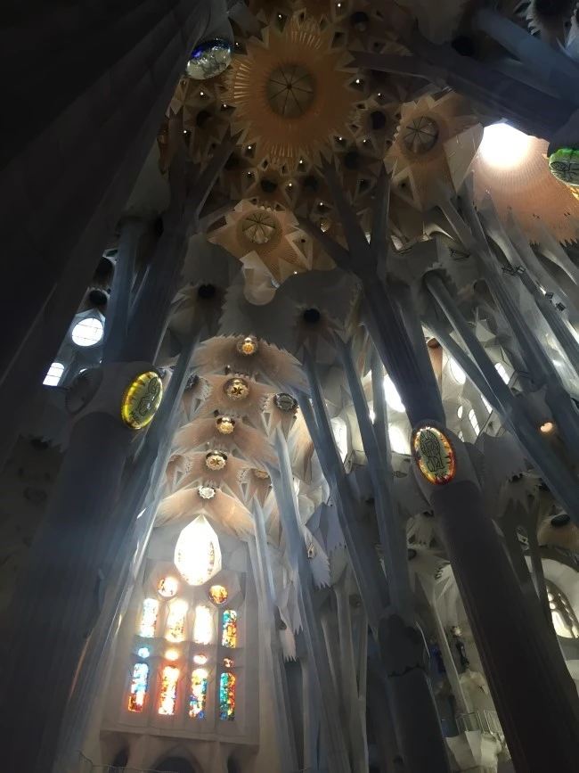 IMG_2702.JPG?type=w740