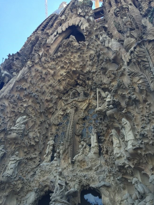 IMG_2683.JPG?type=w740