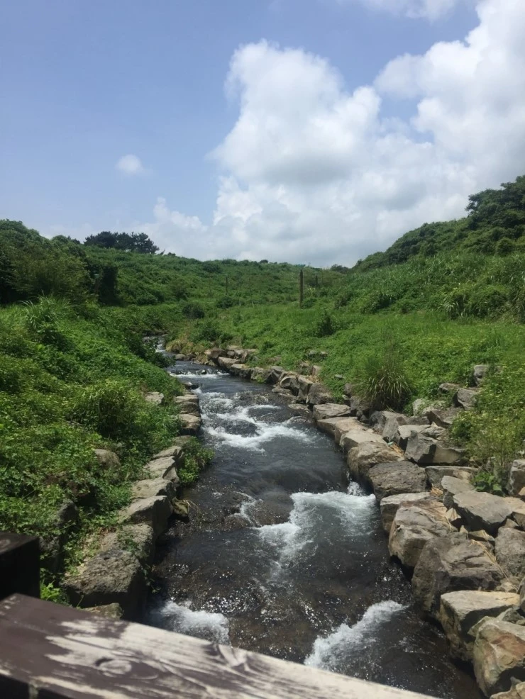 P20160726_130157368_F3C8177C-E5DA-4E36-AA29-F78D1D37A78B.JPG?type=w740