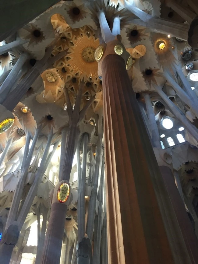 IMG_2686.JPG?type=w740