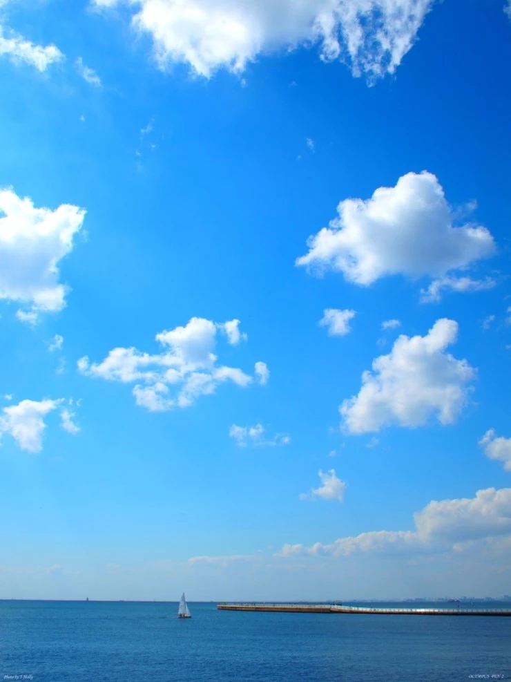 2010100201.jpg?type=w740