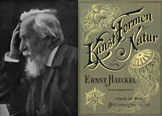 02.%EC%97%90%EB%A5%B8%EC%8A%A4%ED%8A%B8%ED%97%A4%EC%BC%88_%EC%9E%90%EC%97%B0%EC%9D%98%EC%98%88%EC%88%A0%EC%A0%81%ED%98%95%EC%83%81%EB%93%A4.jpg?type=w740