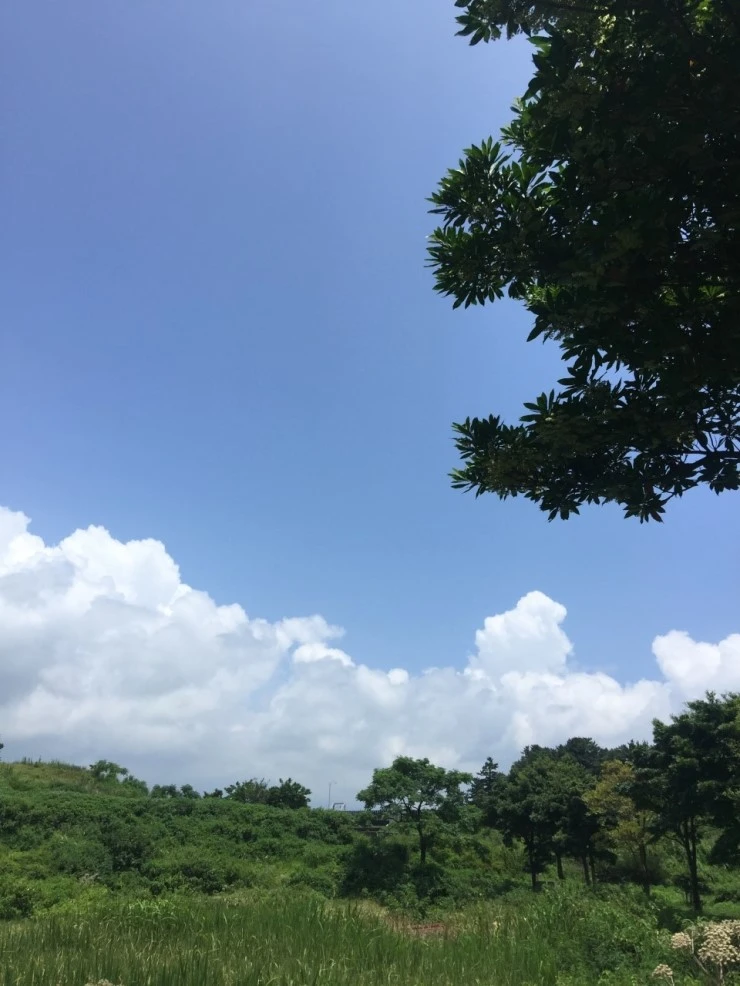 P20160726_124133156_0B943A4D-16F9-4C57-9AC4-3087E1CB5B47.JPG?type=w740