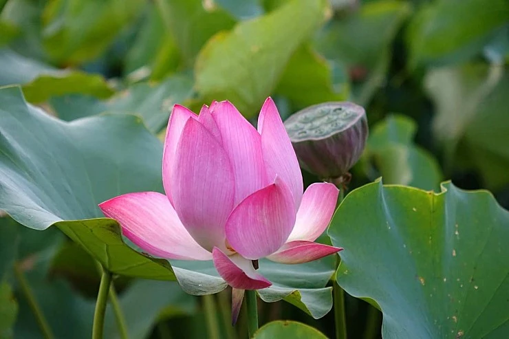 FB_IMG_1505787358476.jpg?type=w740