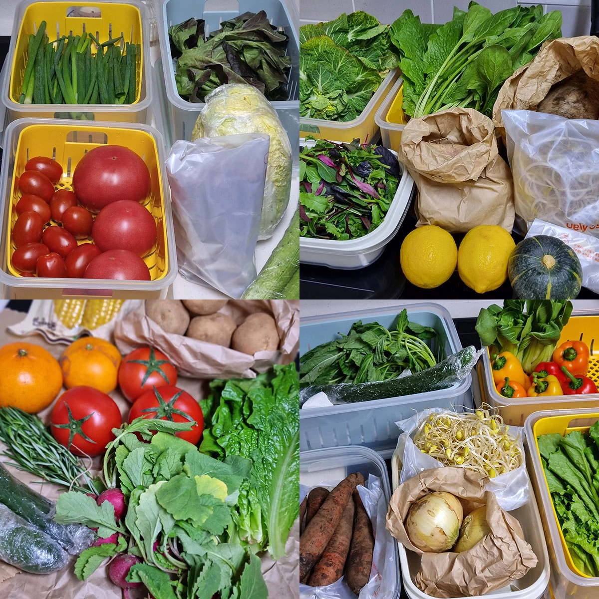 AD_4nXcnrMWXZ2O4ghKD23F3ElmzrVUUlh1MV6IzMwt8C2RZ_CNehe6ePC7M0rPFmICp3Rm5OY1EY4917wtUn6ne3ycDcQD9NvXhI8yDShapcWo_VV_SV86jc7raoXldeYiWFtgbO83mIubEhs4EVyvwz1-Zutw?key=k4jocn4QhRNVu6-KjgE5-Q