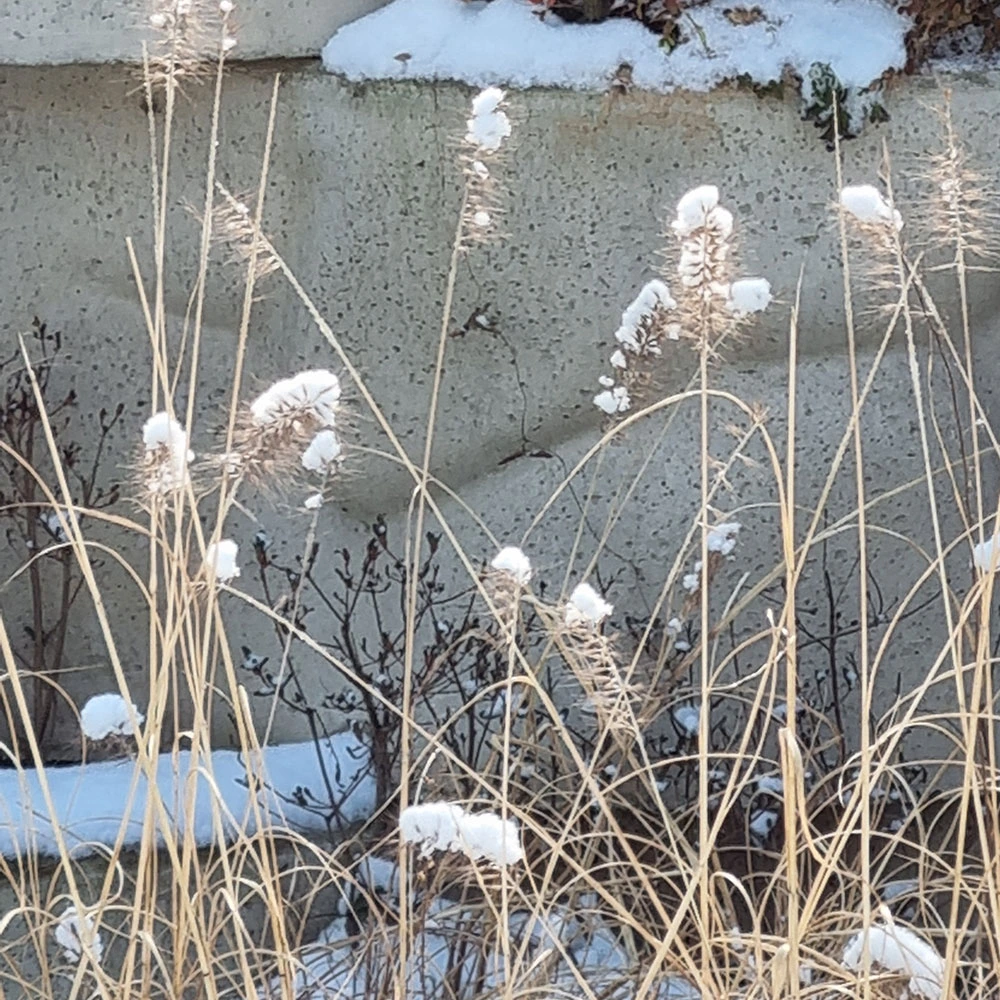 AD_4nXcer7JupcKLc0i3HR_MkaVAQMlOjFc3puE6VfowaVXoobmTwDEzN9DZ55zOIbcB9QqWr0qtDHhT2nxMbIsfMlMlaOQ8wQoUrDXPk7i-t0YSz8E4eZOwAT18dzuesGJWPNms5b313darLvGlN9uqbDYuktw?key=k4jocn4QhRNVu6-KjgE5-Q