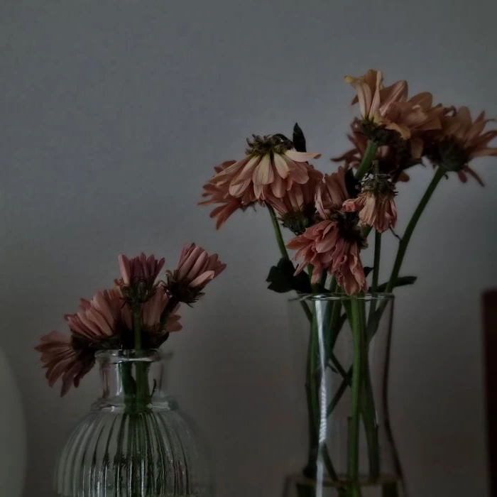 AD_4nXeaR6ntINpdG3CfjuAcGpFOETFsbL0ZjYLBhbFnXWEyevfAEsocyDwgvw4rKqefTGuS3GXi7mEANhRk3it05XccSdHW86ENRN5Vir_eRJyHRWxt0UbhsK5frjkcw7eI8Ig8Zj0jDUi8gx22fT0CatOPksNb?key=k4jocn4QhRNVu6-KjgE5-Q