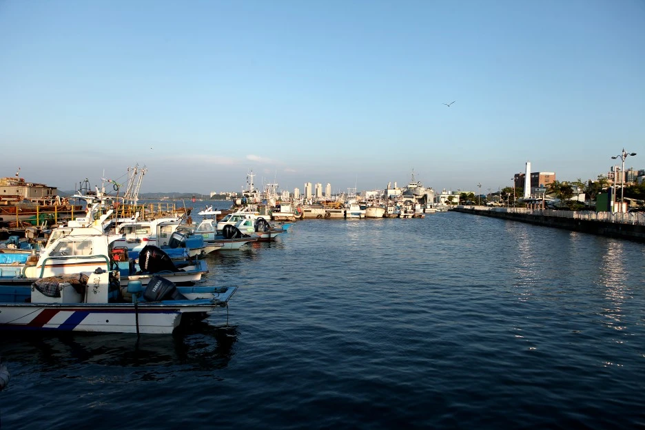 %EB%8C%80%ED%91%9C3(%EA%B5%B0%EC%82%B0%EB%82%B4%ED%95%AD).JPG?type=w1