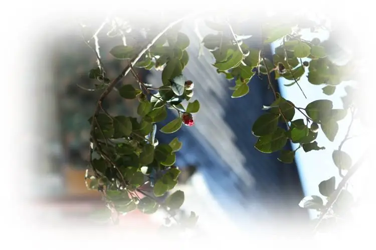 %EA%B7%B8%EB%A6%BC1.jpg?type=w1