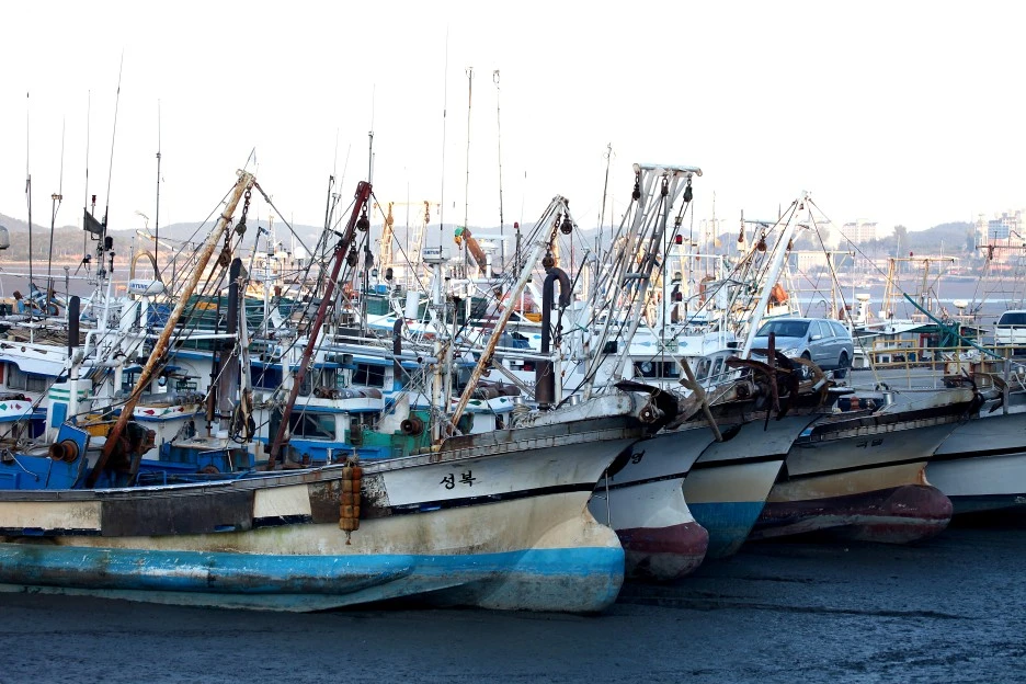 %EB%8C%80%ED%91%9C2(%EA%B5%B0%EC%82%B0%EB%82%B4%ED%95%AD).JPG?type=w1