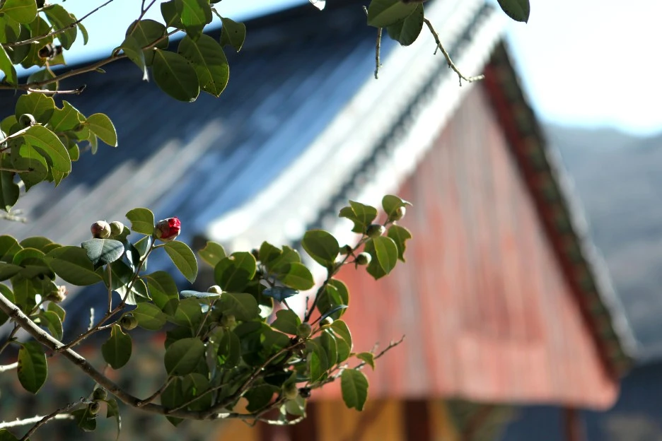 IMG_1291.JPG?type=w1