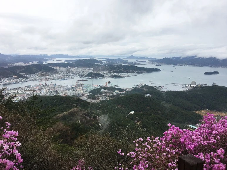 %EB%AF%B8%EB%A5%B5%EC%82%B0%EC%97%90%EC%84%9C%EB%B3%B8%ED%86%B5%EC%98%81%EC%A0%84%EA%B2%BD2.JPG?type=w773