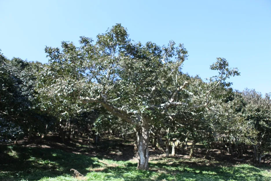 IMG_1293.JPG?type=w1