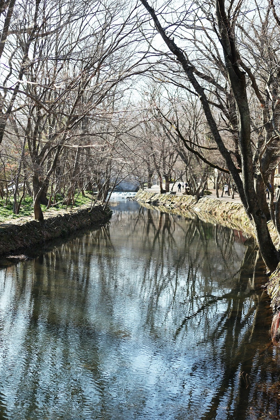 IMG_1275_1.jpg?type=w1