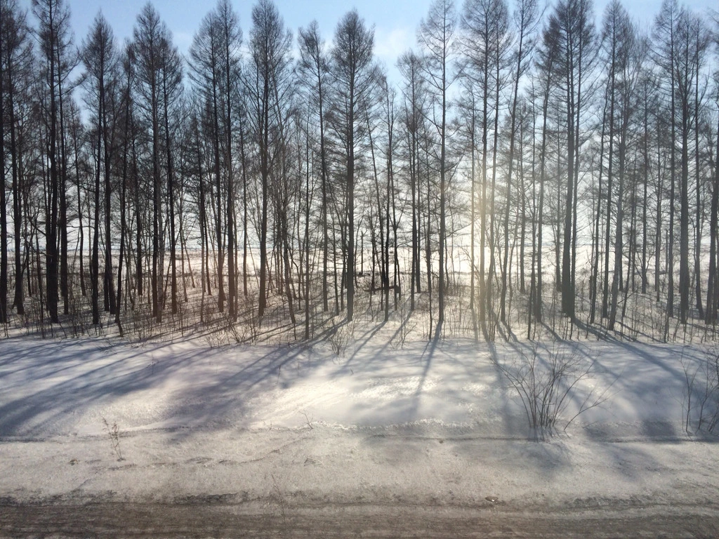 23097D3F5512523936C7A0