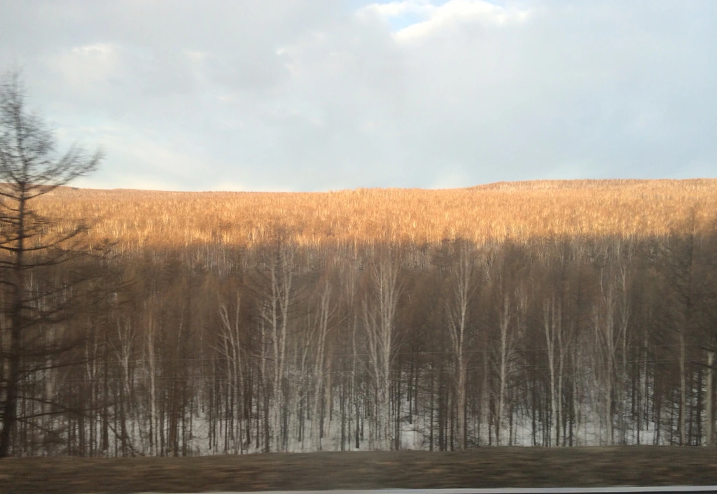 22402D39551252323EA693