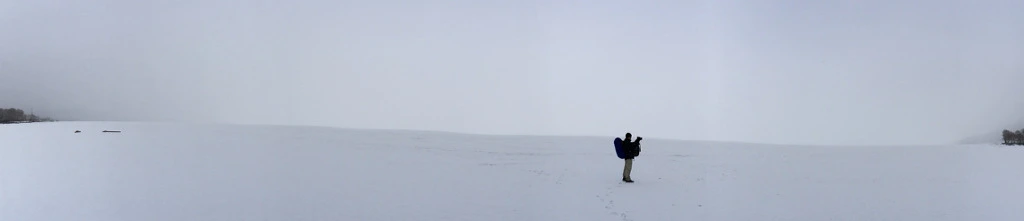 247F13395510D6E82B4577