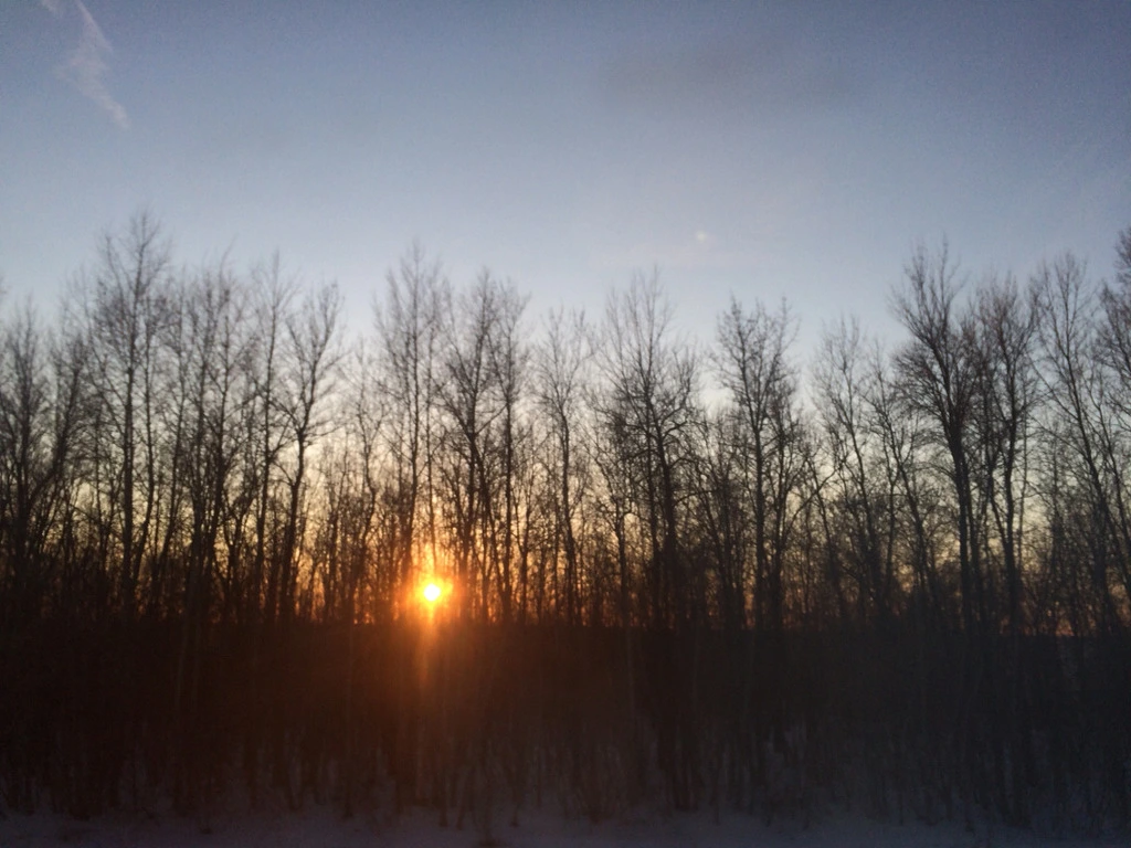 2272323E551252681E2525