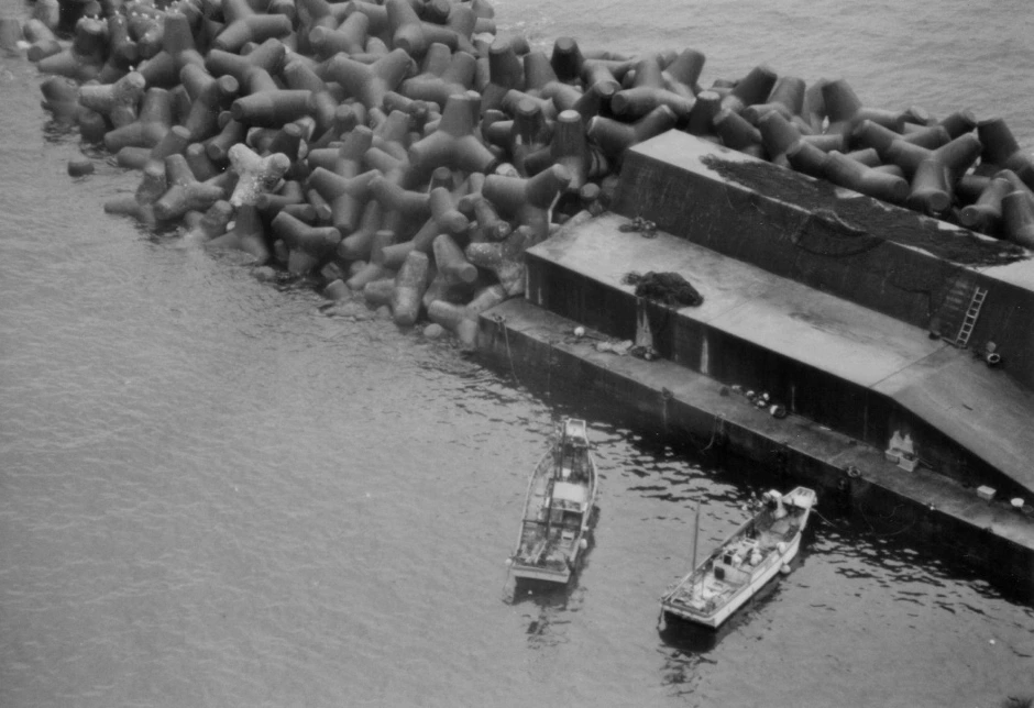 tokyo (62)(940x644).jpg