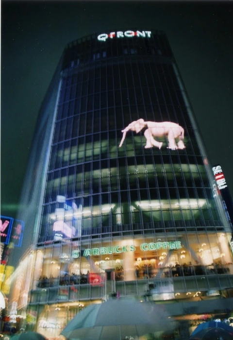 tokyo (92)(480x700).jpg