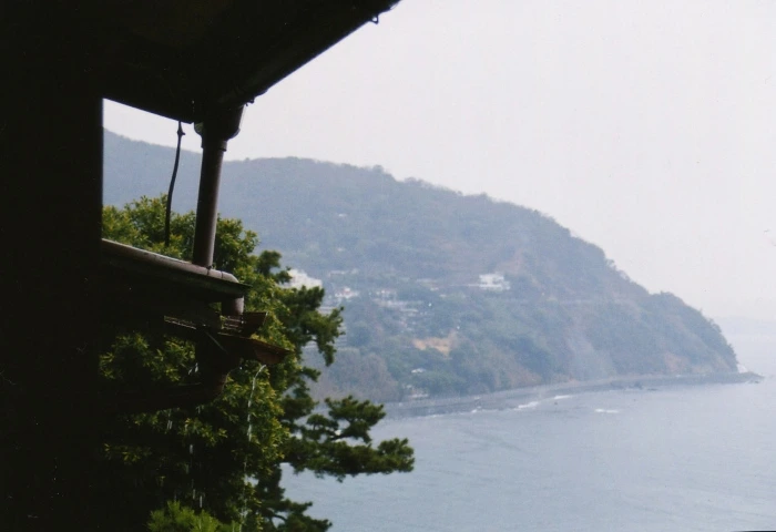 tokyo (50)(700x480).jpg