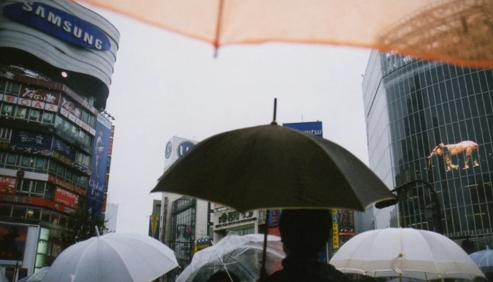 tokyo (2)(700x400).jpg