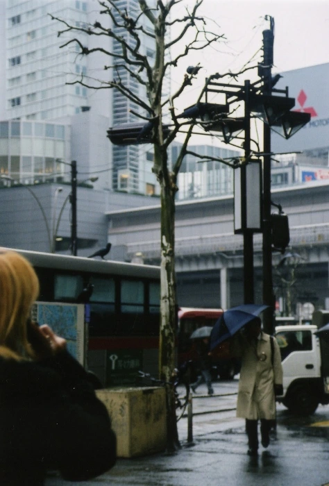 tokyo (71)(474x700).jpg