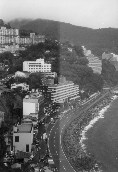 tokyo (63)(480x700).jpg