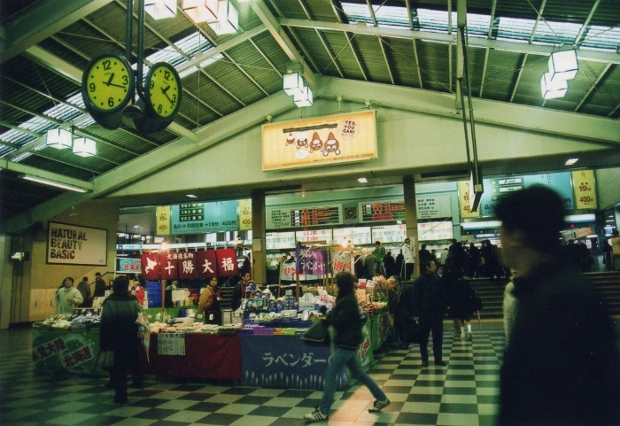 tokyo (70)(700x481).jpg