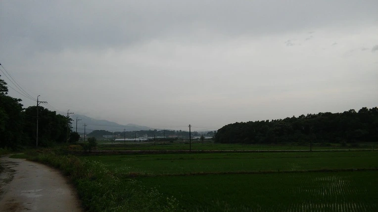 2524AF3A557D630C022529