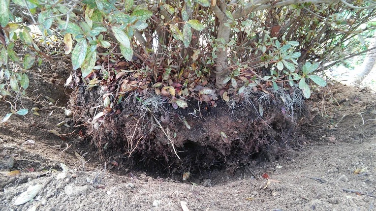 217B2D39582A344014E000