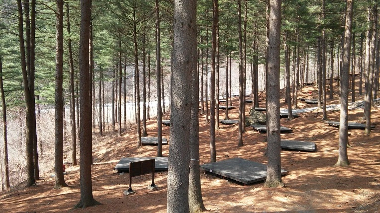 2405B63356F7759B2183ED