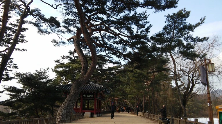 211B774456AD8CD508CFA6