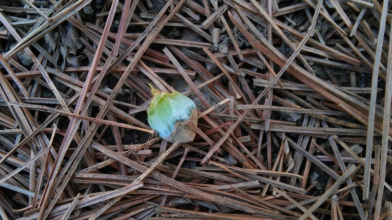 224A733B56F3913833D491