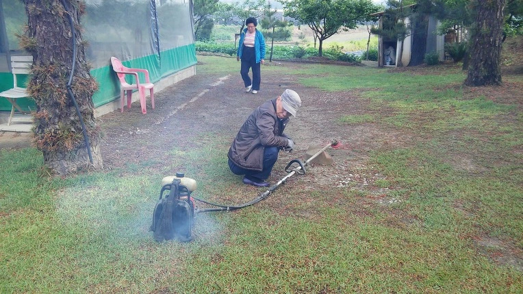 2478F033573A59C333C635