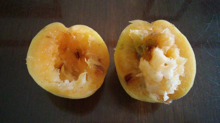 2576DE4D576E19002AB9B6