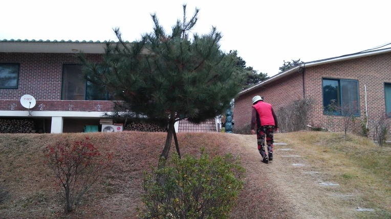 216AE24856499AE024AD76