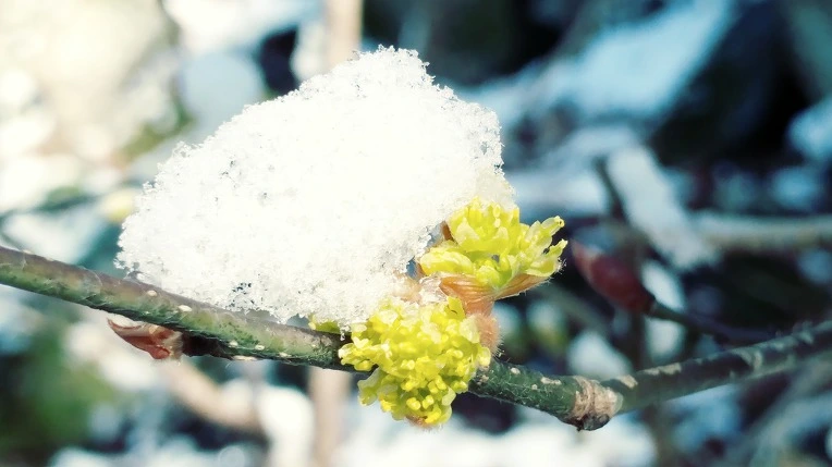 991603405EBE1C7123623A