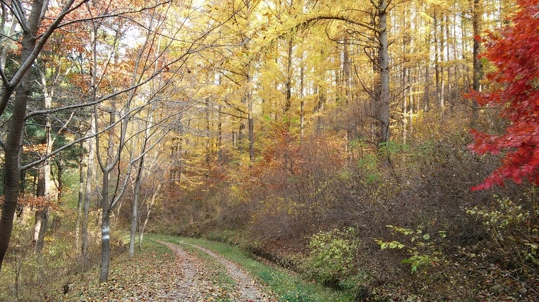 256D1E35564314E61B35C5