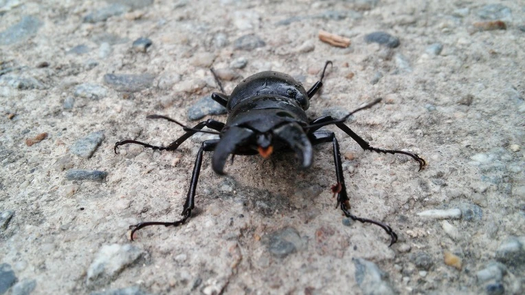 2150B03E57A19EF706CA25