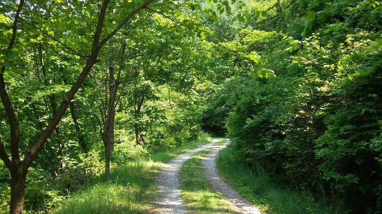 276DE63F556025FC1C288B