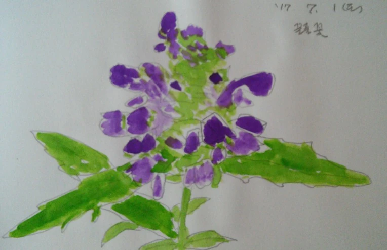 236F0342595DCB9C2F1B0B