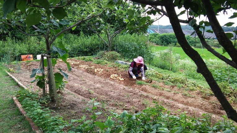 250E613E577890243E1190