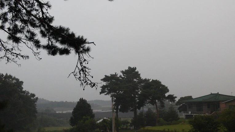 261CF53757D0B5A416769F