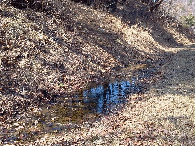 037DE943515781CD2236A5