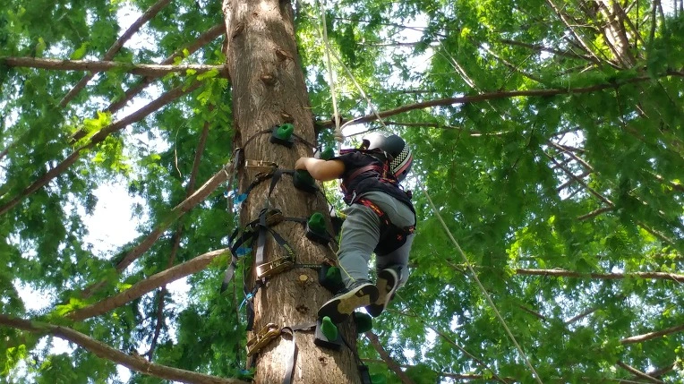 993A153C5B57BEC41471A2