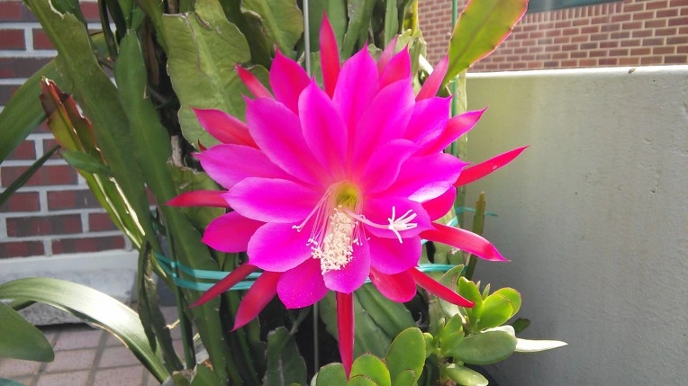 21467637575B88D7033670