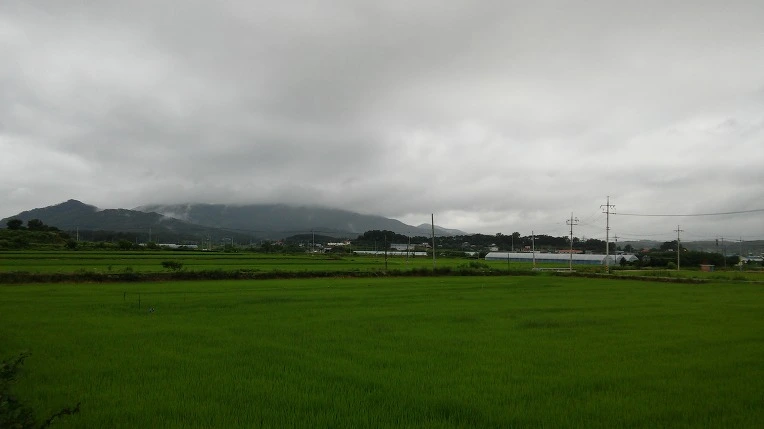 25582845578C5AFF27ABFD