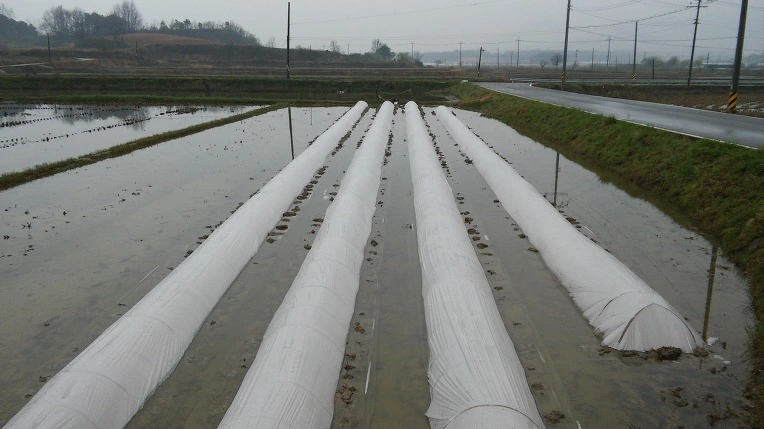 2723BE41552F4E7732A3F9