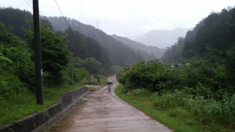 2238F43A59596CF8190B5D